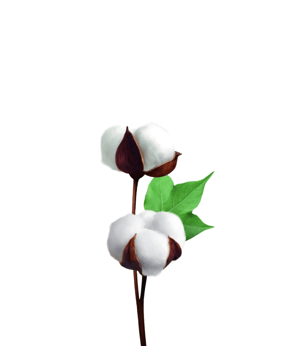 Intimate Foam Wash COTTON – 140 ml with white cotton flowers symbolizing gentle care and natural ingredients.